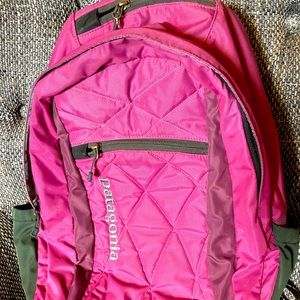 Patagonia Violeta 25L backpack
